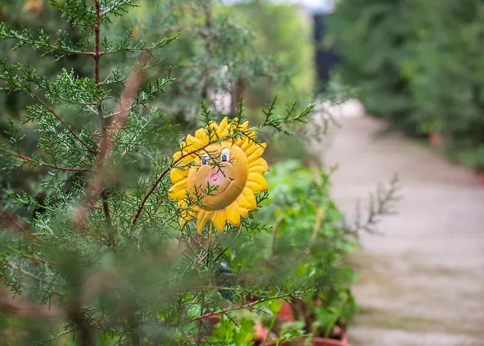 Hotel семеен къща тодорови Stara Zagora