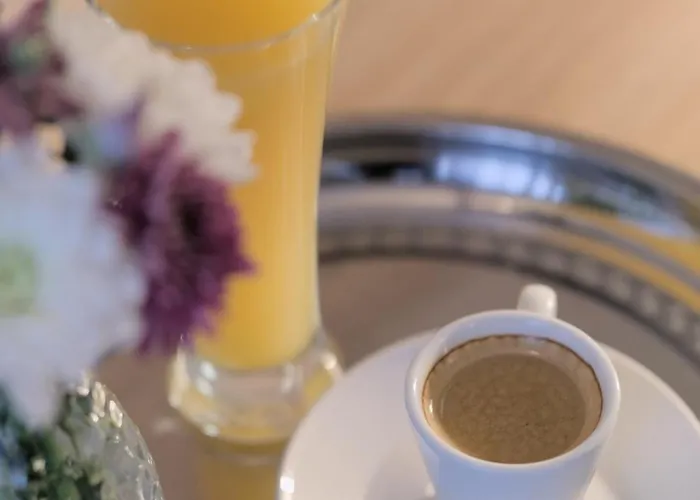 семеен къща тодорови Hotel *