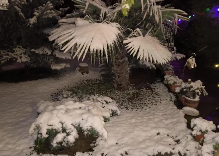 семеен къща тодорови Hotel *