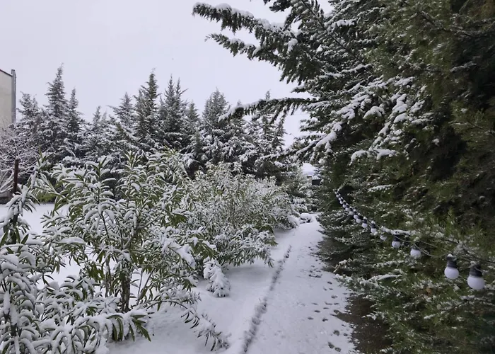 Hotel семеен къща тодорови